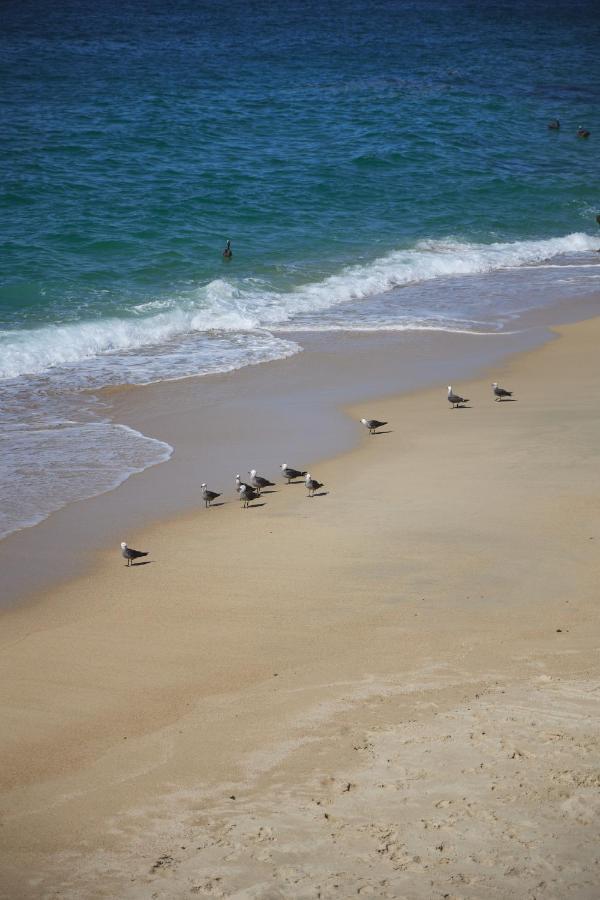 Casitas Maraika Hotel ปูแอร์โตบาญาร์ตา ภายนอก รูปภาพ